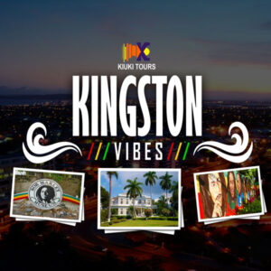 KINGSTON-VIBE-WEBSITE-COVER